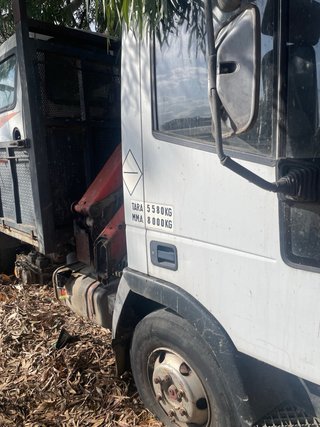 Camion grua vasculante