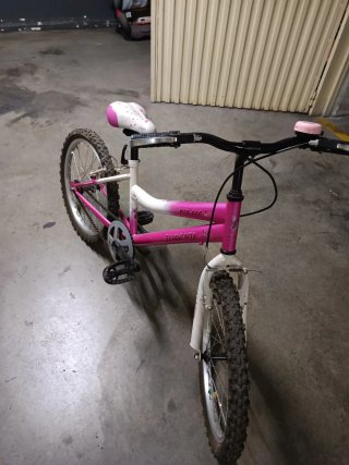 Bicicleta de Niña Rosa de Aluminio