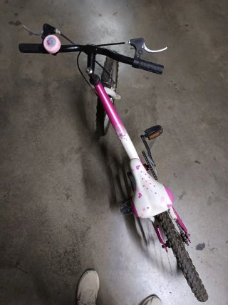 Bicicleta de Niña Rosa de Aluminio