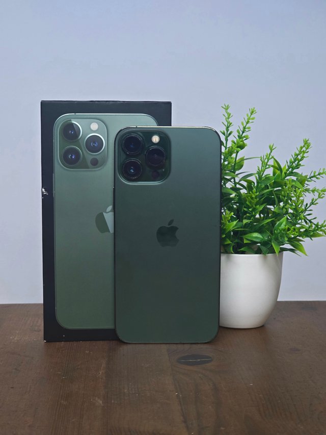 iPhone 13 Pro 100%