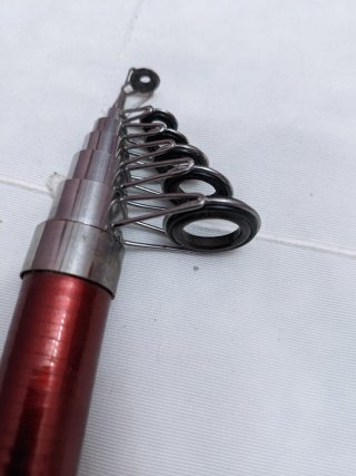 Caña de pesca extensible 3 metros