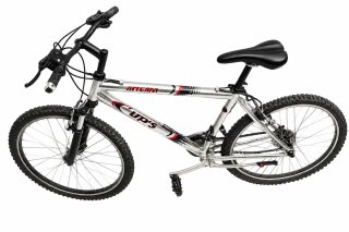 Bicicleta de Montaña Cup's Alteam Plata