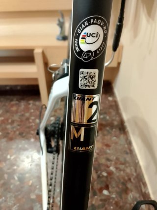 Bicicleta de carretera Giant Propel Advanced M.