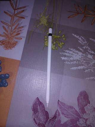 Apple Pencil 1ª Generación