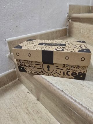 Zapato Feroz Marrones Niños