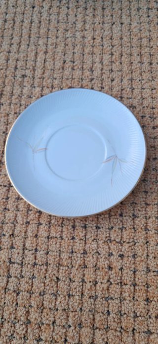Plato de taza de café Santa Clara.