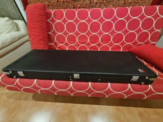 Estuche deluxe para Bajo Eléctrico