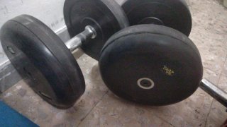 Manubri Palestra 20 kg