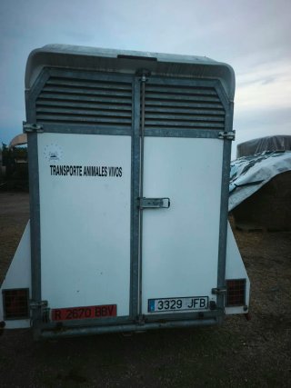Van Yagüe de dos caballos