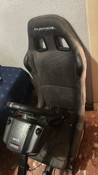 Playseat con Volante Logitech g29