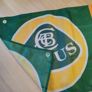 Bandeira Lotus 180x45 cm