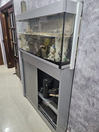 Acuario de pared
