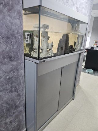 Acuario de pared