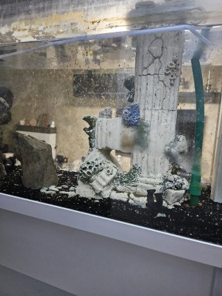 Acuario de pared