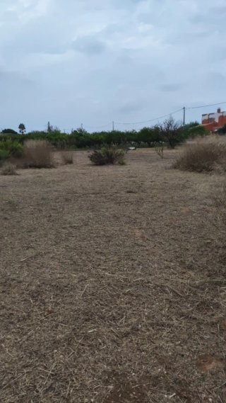 Limpiamos parcelas y jardinería