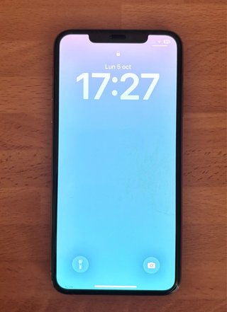 iPhone 11 Pro Max 256GB Oro
