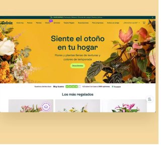 Web profesional + WhatsApp + tarjeta QR