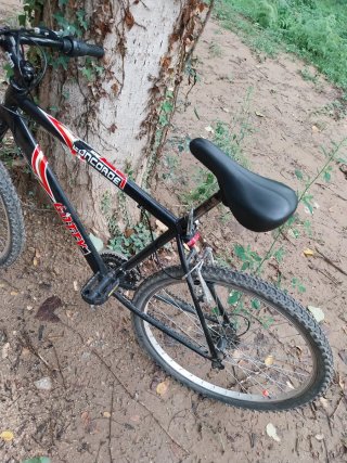 Bicicleta de Montaña Concorde Negra
