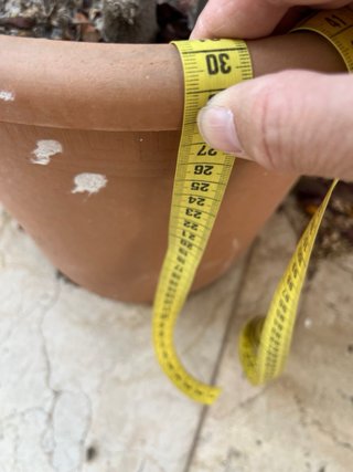 Set de 3 Macetas de Terracota plástico