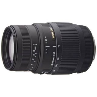 Objetivo Sigma 70-300mm F4-5.6 DG Macro EF