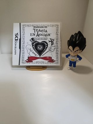 Nintendo DS Magia en Acción