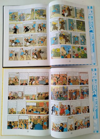 2 *Les aventures TINTIN au pays de l’or; tournesol