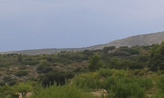 Finca rústica en Alcublas