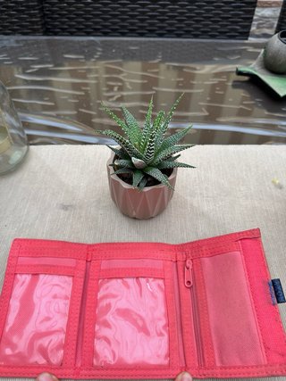 Lote de 5 Carteras Variadas