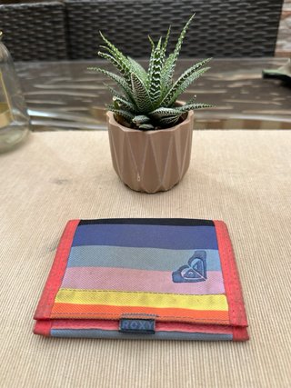 Lote de 5 Carteras Variadas