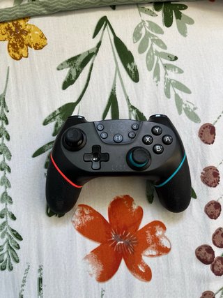 Nintendo Switch Neón