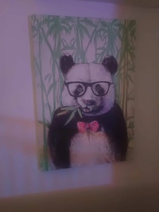 Cuadro de Panda con Gafas y Pajarita