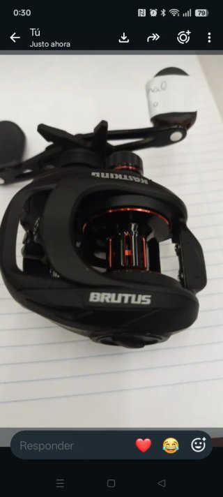 Carrete de Pesca KastKing Brutus