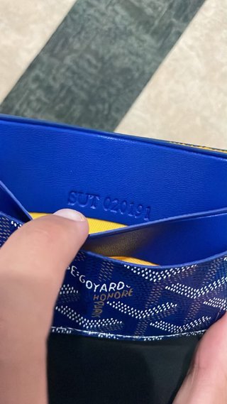 Cartera Goyard azul y multicolor
