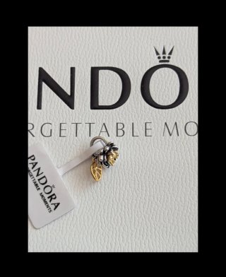 Pandora Charm Flor de Nenúfar Princesa Tiana