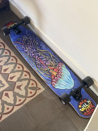 Longboard Omen Wildlife Boards