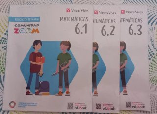 Matemáticas 6, Educación Primaria, Comunidad Zoom