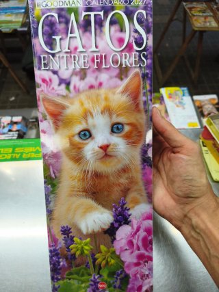 Calendario Gatti tra Fiori 2027. Nuovo