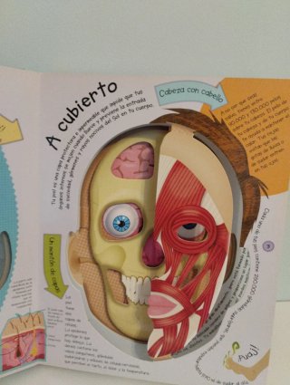 El cuerpo humano: ¡por dentro y por fuera!