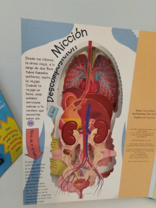 El cuerpo humano: ¡por dentro y por fuera!