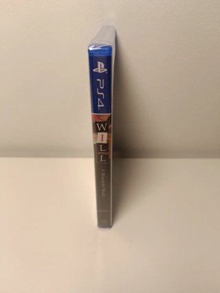 Will: A Wonderful World PS4