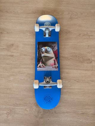 Skate Completo Push 7.25
