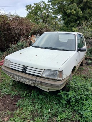 Peugeot 205 1998