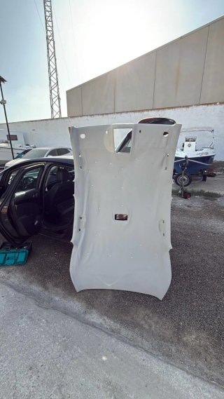 Tapizado de techos y puertas