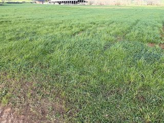 Terreno en venta en Entrambasaguas