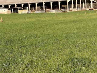 Terreno en venta en Entrambasaguas