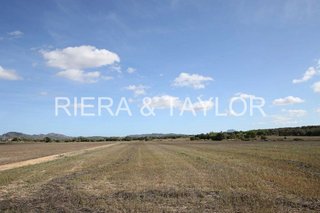 Terreno en venta en Manacor Centro en Manacor