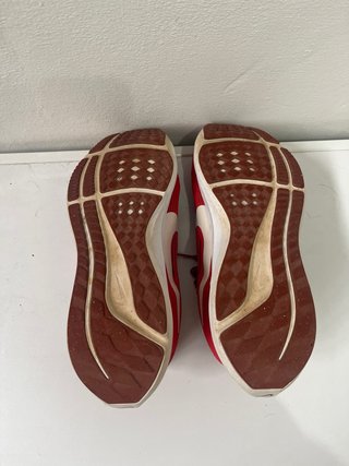 Zapatillas Nike Pegasus 40 Rojas Talla 41