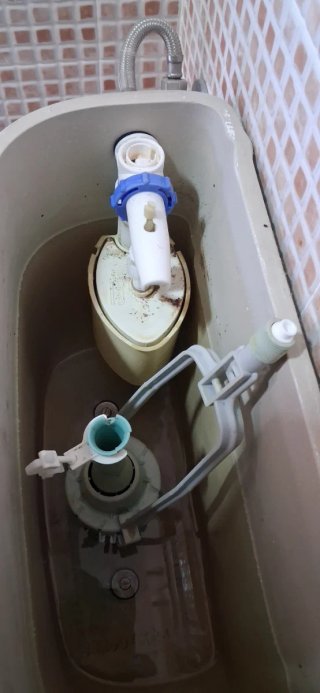 Manitas