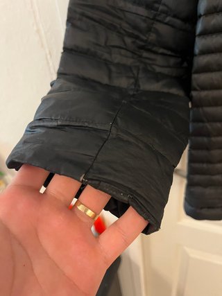 Chaqueta The North Face Negra Plumas