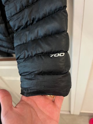 Chaqueta The North Face Negra Plumas